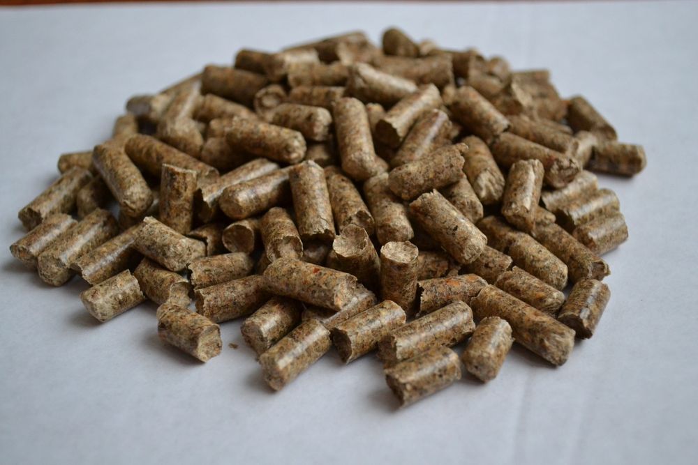 Пилета хвойних порід