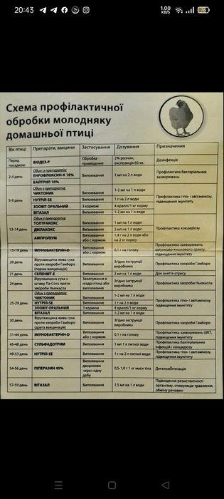 Курчата  Бройлер