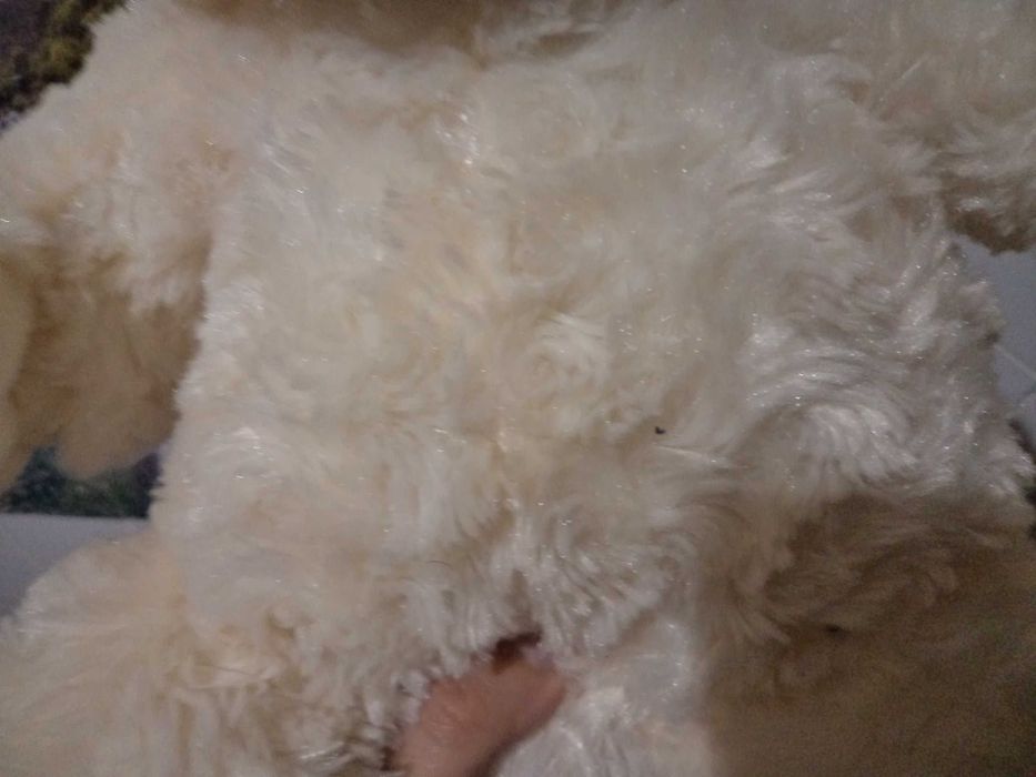 мишка мягкая игрушка