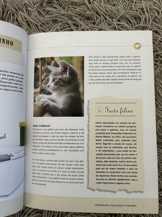 A linguagem secreta dos gatinhos