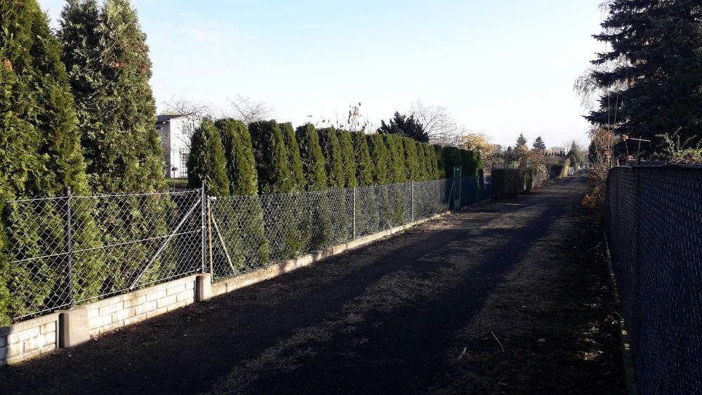 Działka ogrodowa ROD