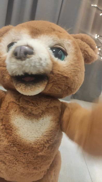 Каббі ведмедик Furreal bear Cabby Оригінал