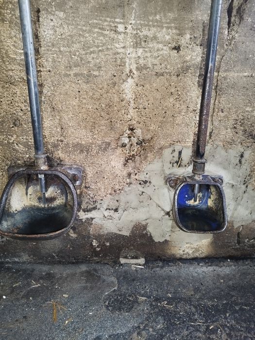 Poidła miskowe (żeliwne) dla świń/trzody chlewnej