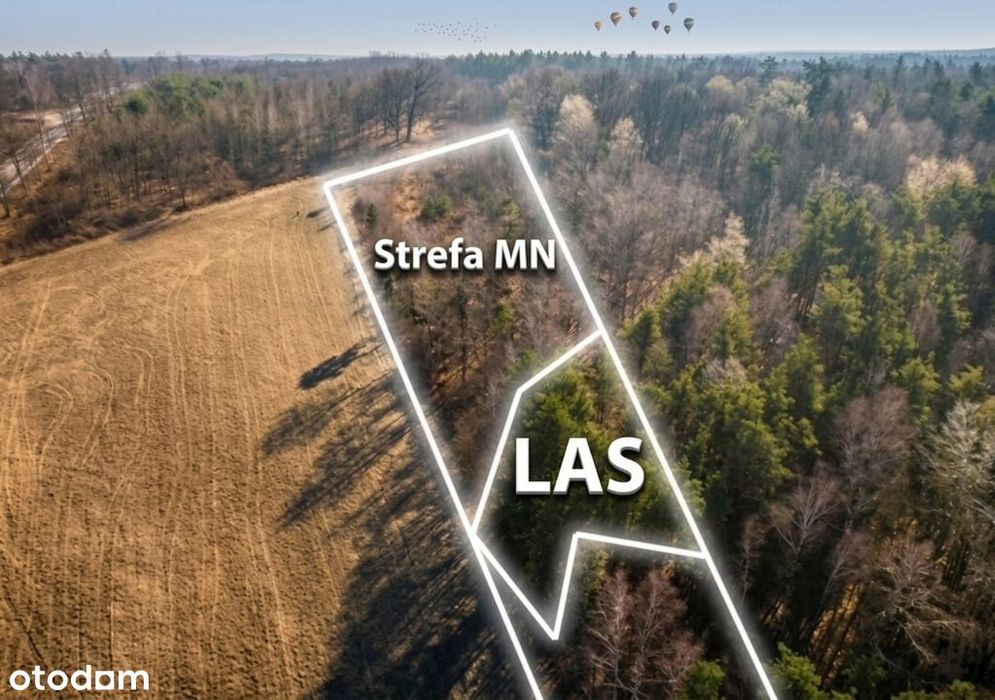 56 arów pod dom + las, razem 1,39 ha