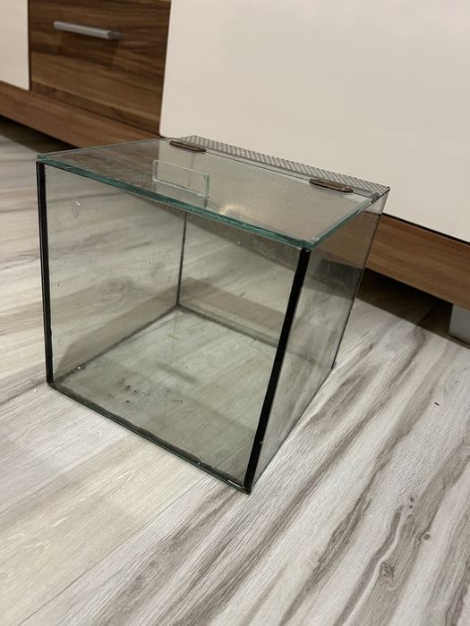 Terrarium dla pająka