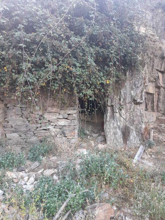 Venda propriedade e terreno à volta