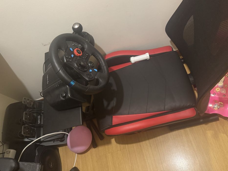 Playseat  e volante