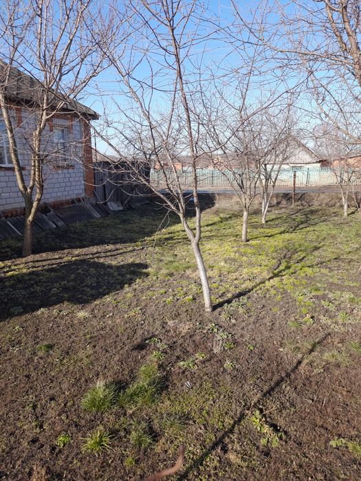 Продам будинок в с. Плавинище