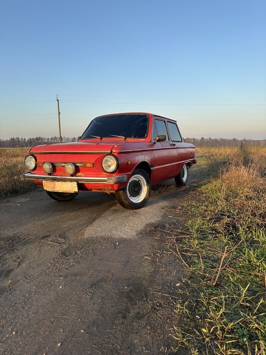 Продам зазіка легенду