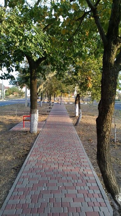 Отдых море Совиньон,свободно с 23 июля