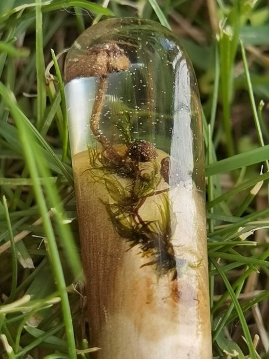 Шпилька для волос