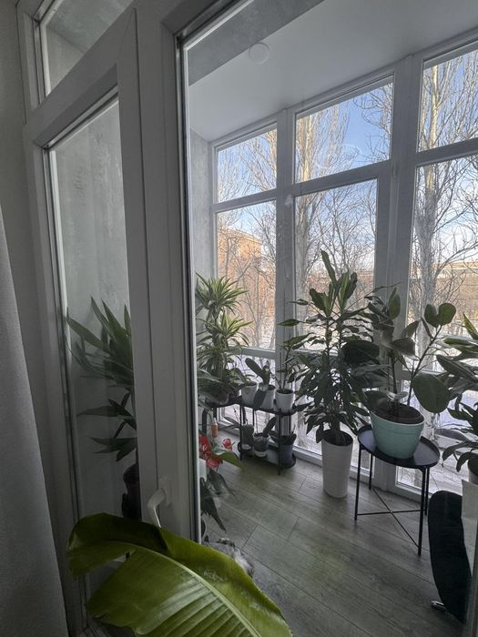 Продаж 2к квартири центр Сертифікат ремонт