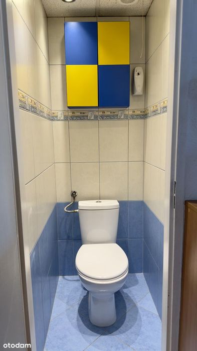 Jasne i ciche mieszkanie 3 pok. + osobna kuchnia, bezpośrednio