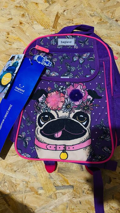 Рюкзак шкільний Bagland