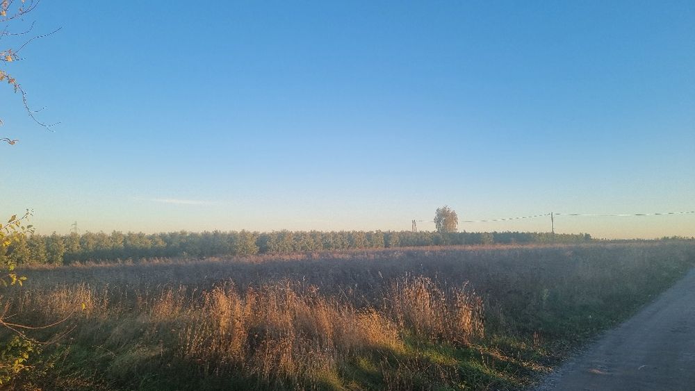 Kociszew Działka rolna z warunkami zabudowy 3000m2