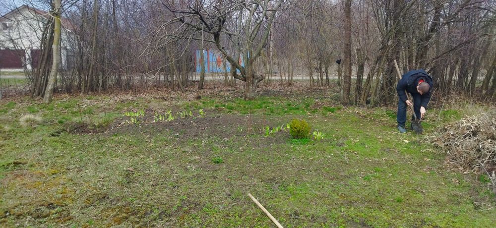 Продам участок С.Новосілки