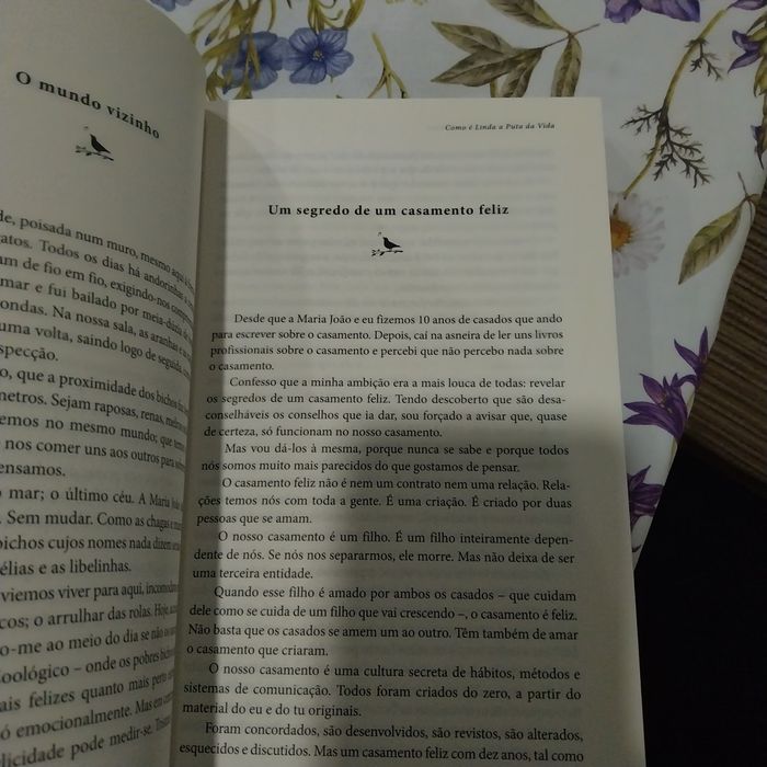 Como é linda a puta da vida. Portes incluídos