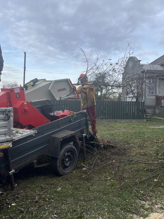 Подрібнення гілок, вивіз гілок, зрізати дерево, зрізання дерев