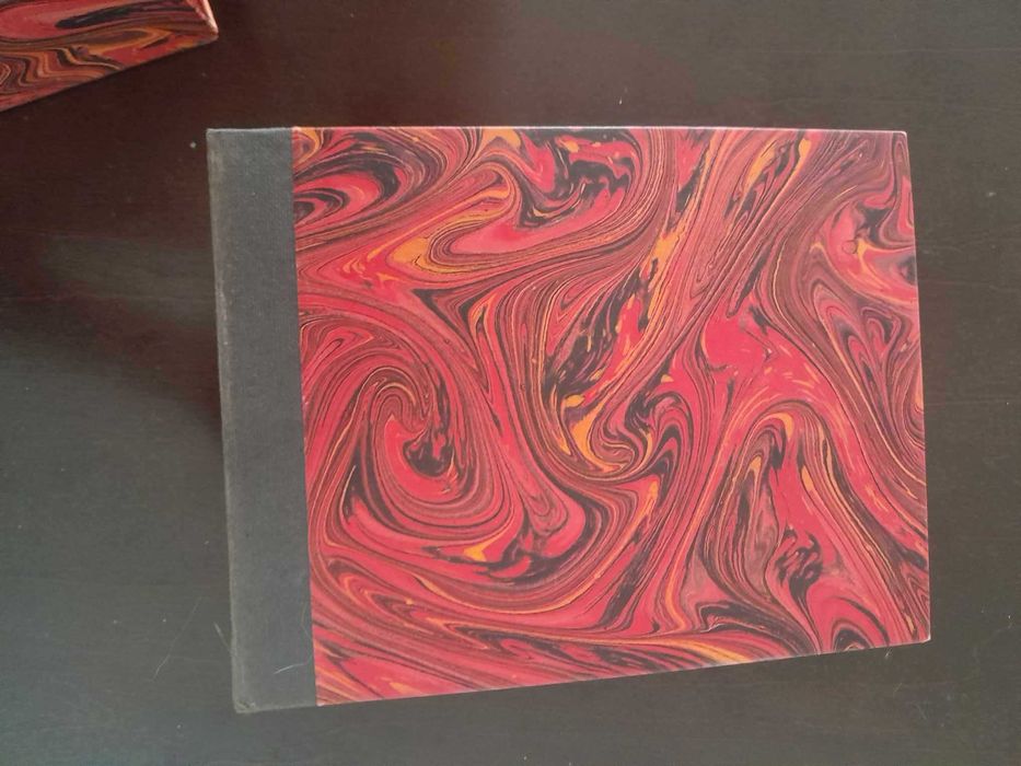 Álbum antigo de Fotografias / Arquivador de Fotos