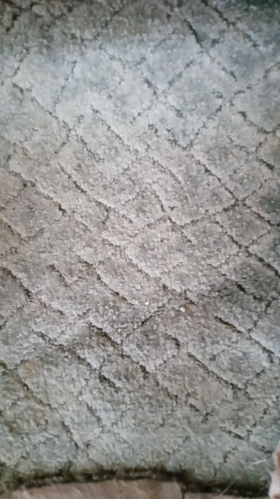 Ковровое покрытие