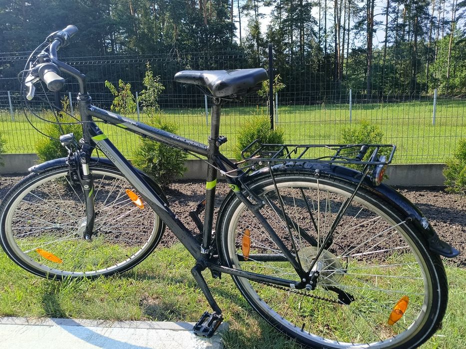 Pegasus Avanti 28 cali,rama 53 cm