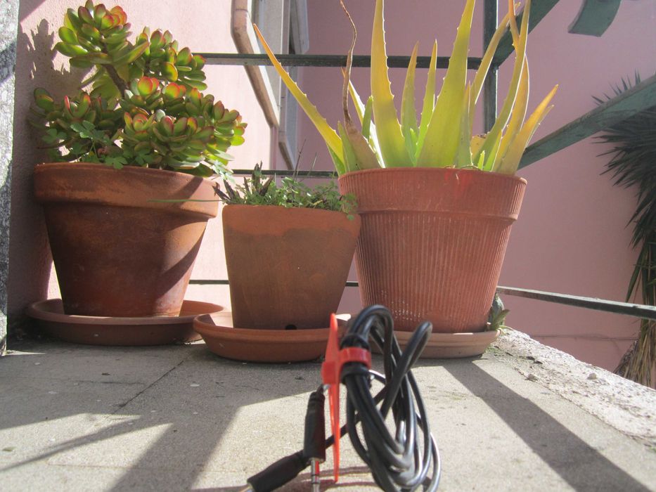 Cabo Audio Jack 3,5mm 2 metros