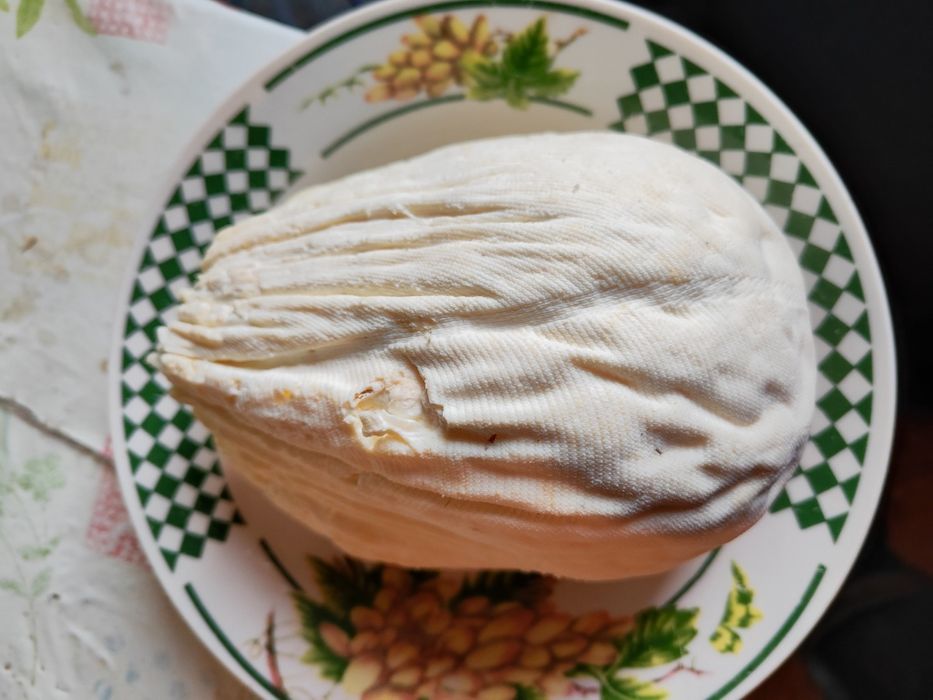 Świerże żółte masło i Jajka szaro-zielone od babci eko