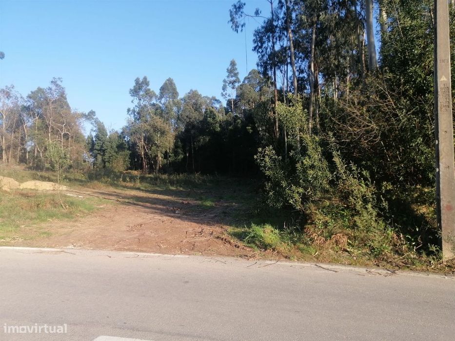 Terreno Urbano  Venda em São Miguel do Souto e Mosteirô,Santa Maria da
