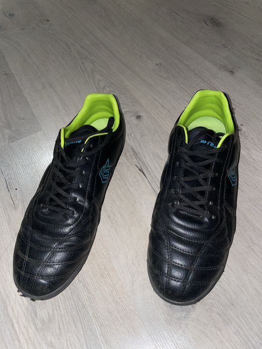 Сороконіжки чорного кольору