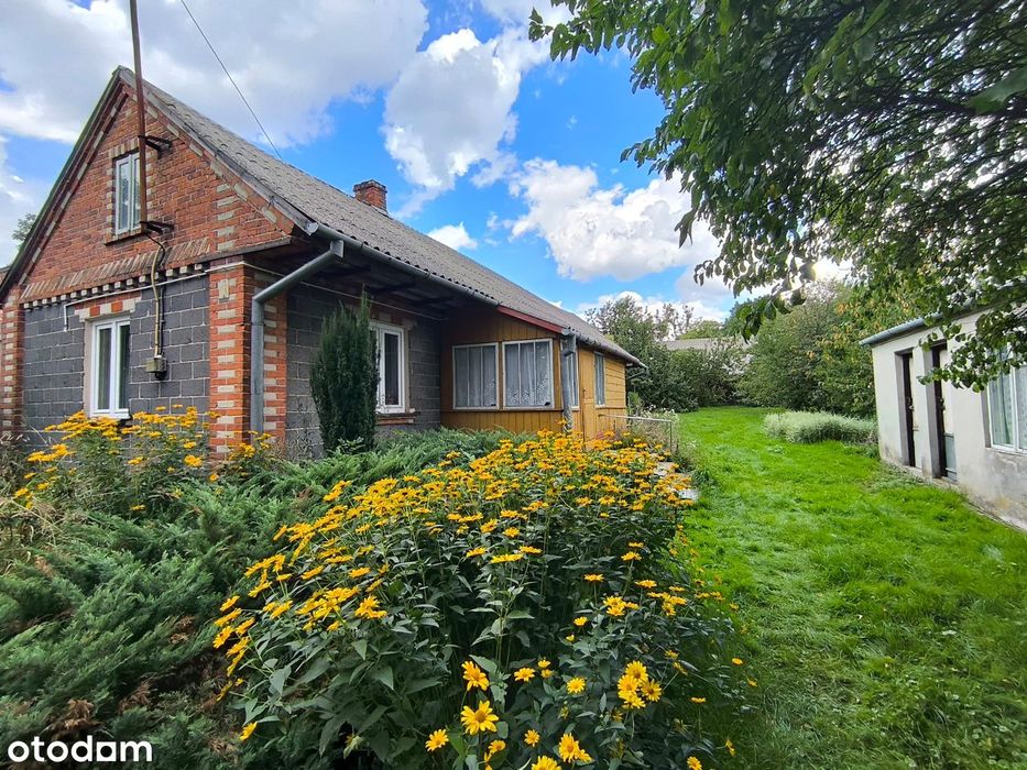 Dom z działką, stodołą i  budynkami gospodarczymi - Majdan Górny