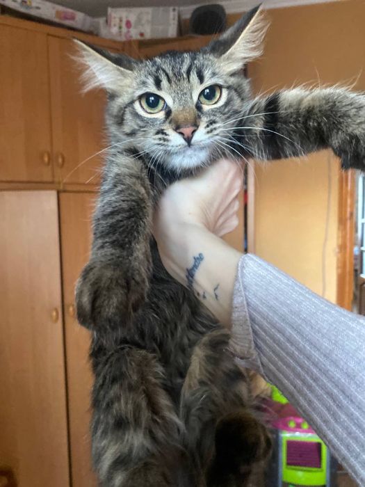 Спешите приобрести радость