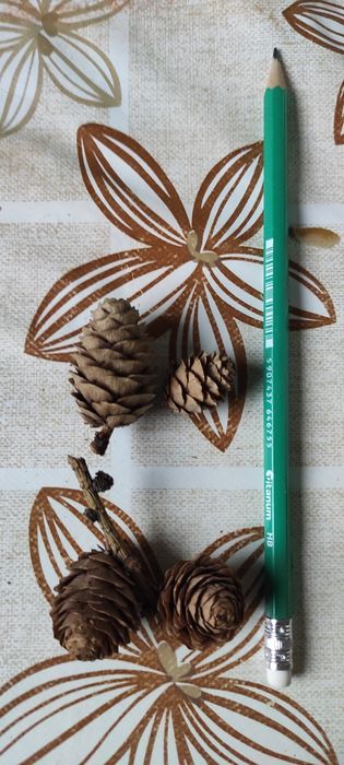 Sprzedam szyszki mix lub nie.