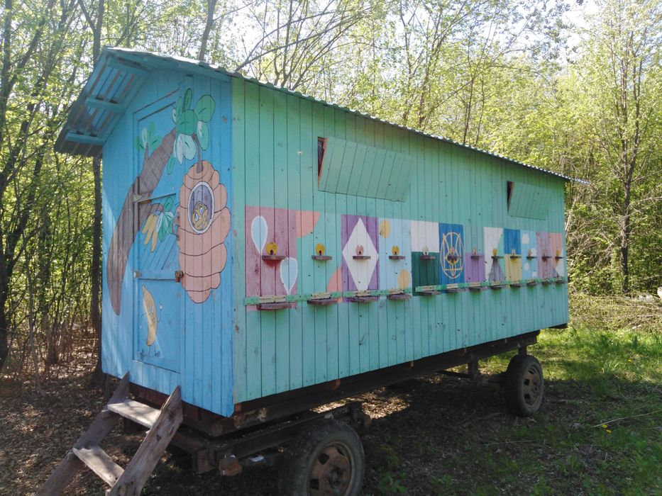 Бджолопавільйон, пасіка, бджоли