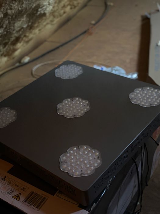 Led Lampa do roslin Lucky Grow