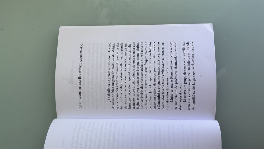 A Vida Mágica da Sementinha Livro