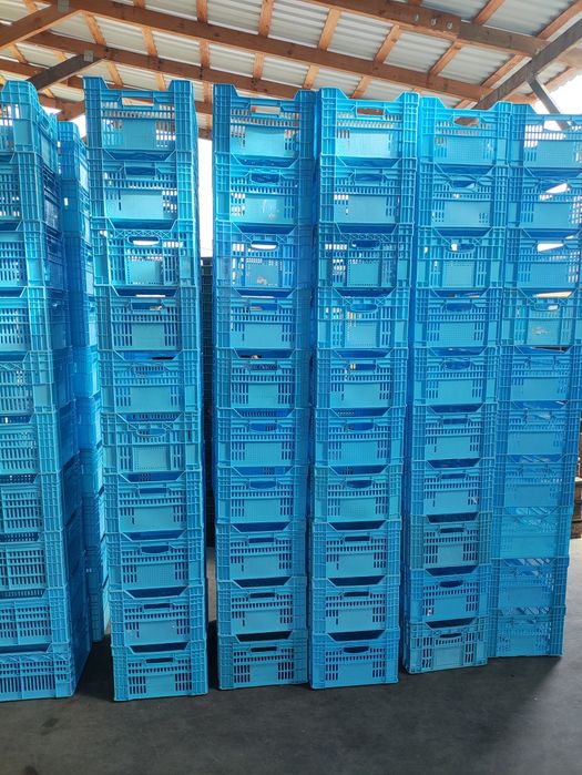 Продам пластиковые ящики Ряба, малые и большие