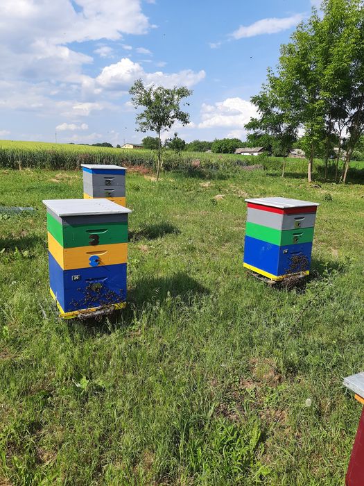 Вулики корпусні нові.