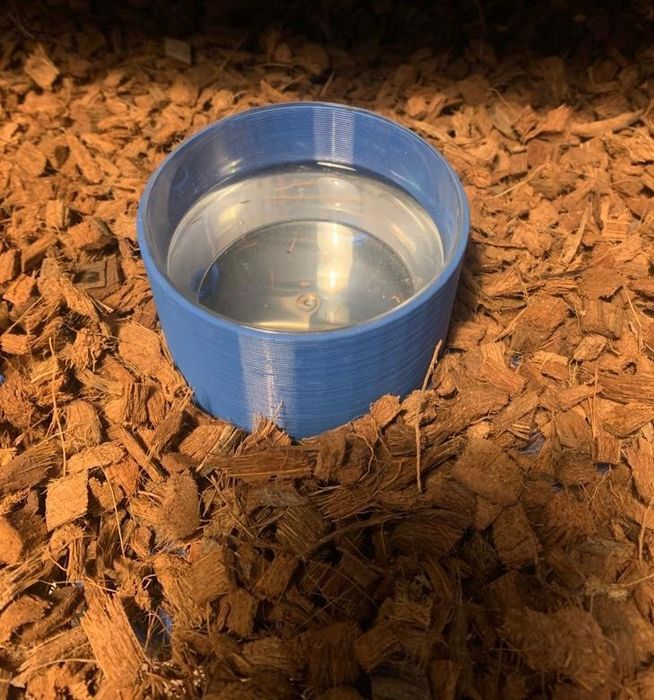 Base de taças de água para répteis