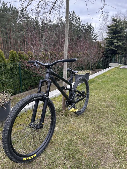 Dartmoor blackbird 2018 L jibber/slopeduro