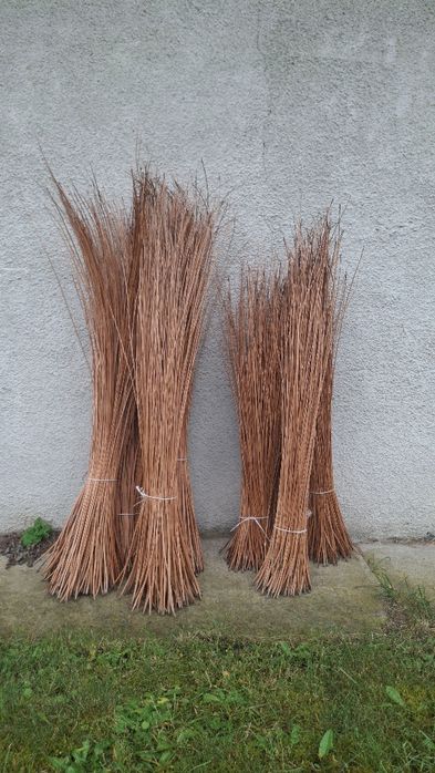 Wiklina 120 - 140 cm
