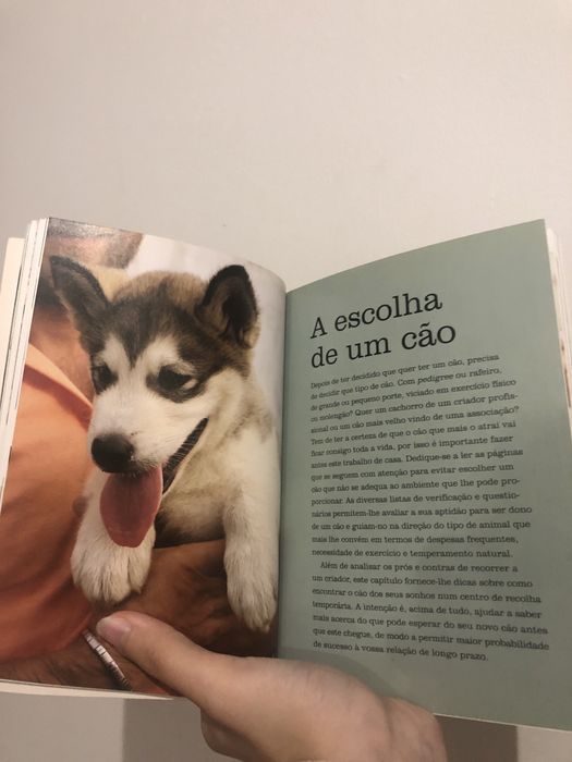 Guia de cuidados com o seu cão/gato
