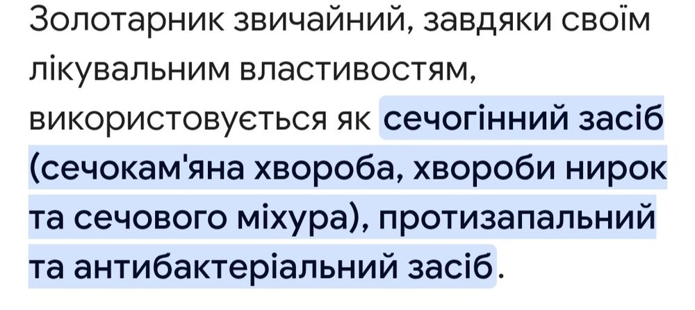 Піжма, збір-08.2025