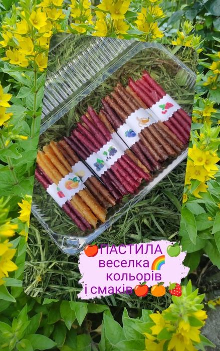 Спортивна ПАСТИЛА