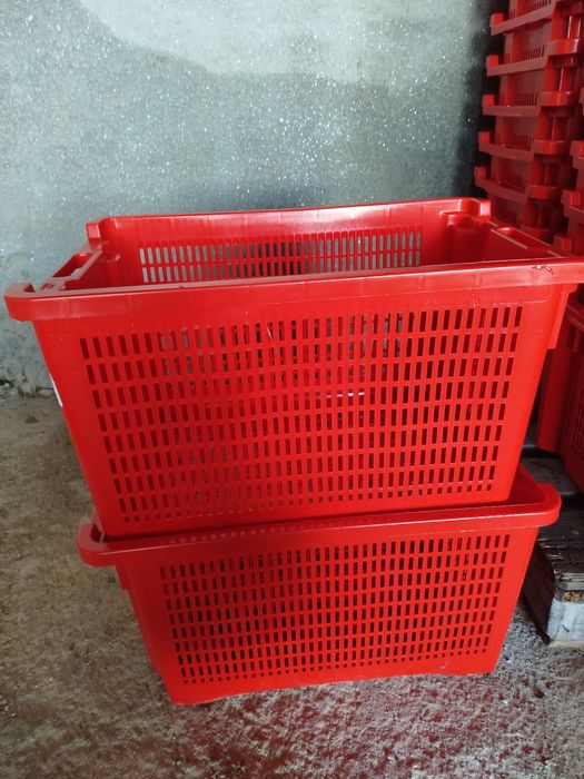 Caixas de plástico agricultura