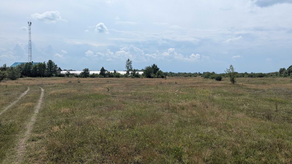 Продається ділянка в с.Березівка(12)