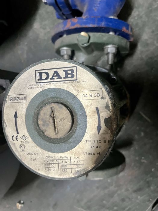 DAB pompa obiegowa z filtrem siatkowym DN50, 230 V