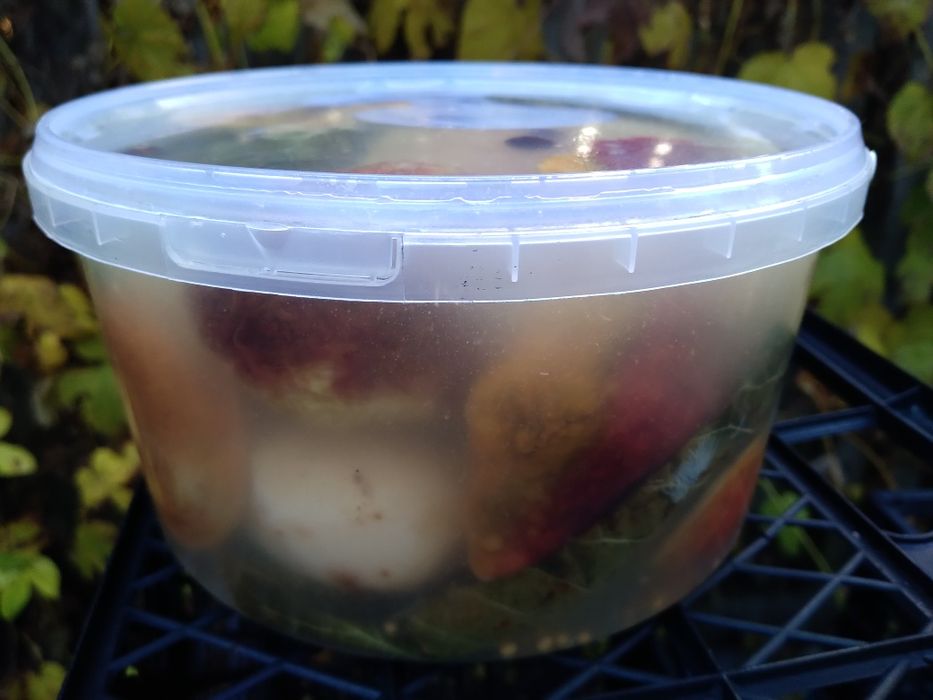 Гриби лісові  квашені,варення чорниці