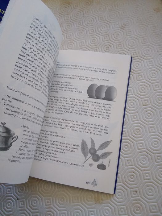 Livro Natal na Europa Edith Vieira Philips