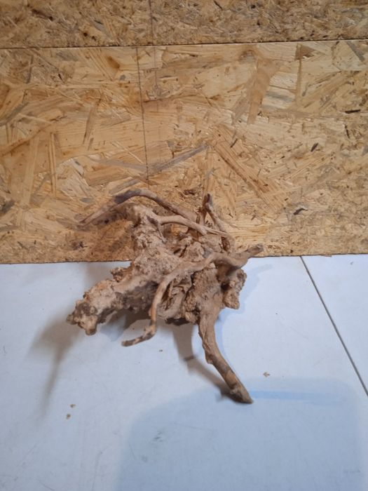 Korzeń do akwarium Red Moore Wood nr 162 o wymiarach 21/12/24