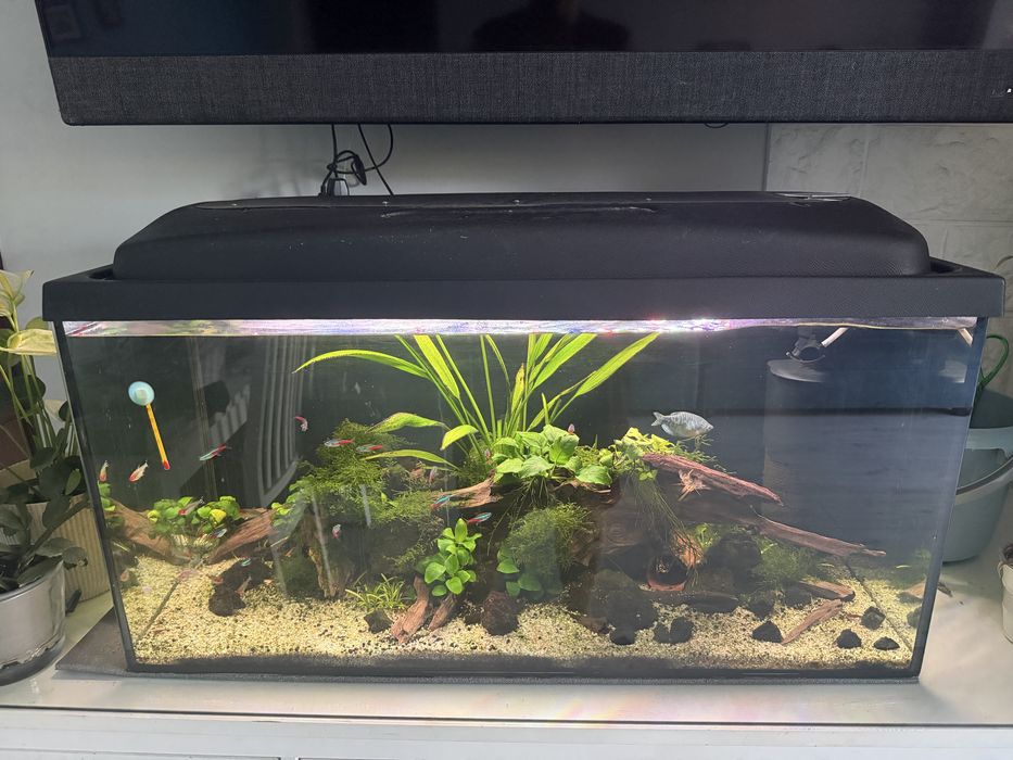 Sprzedam akwarium 120 L